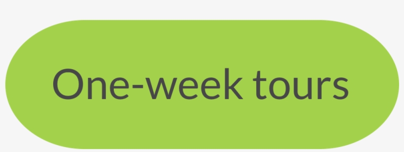 Contact Us - Parallel, transparent png #8370655