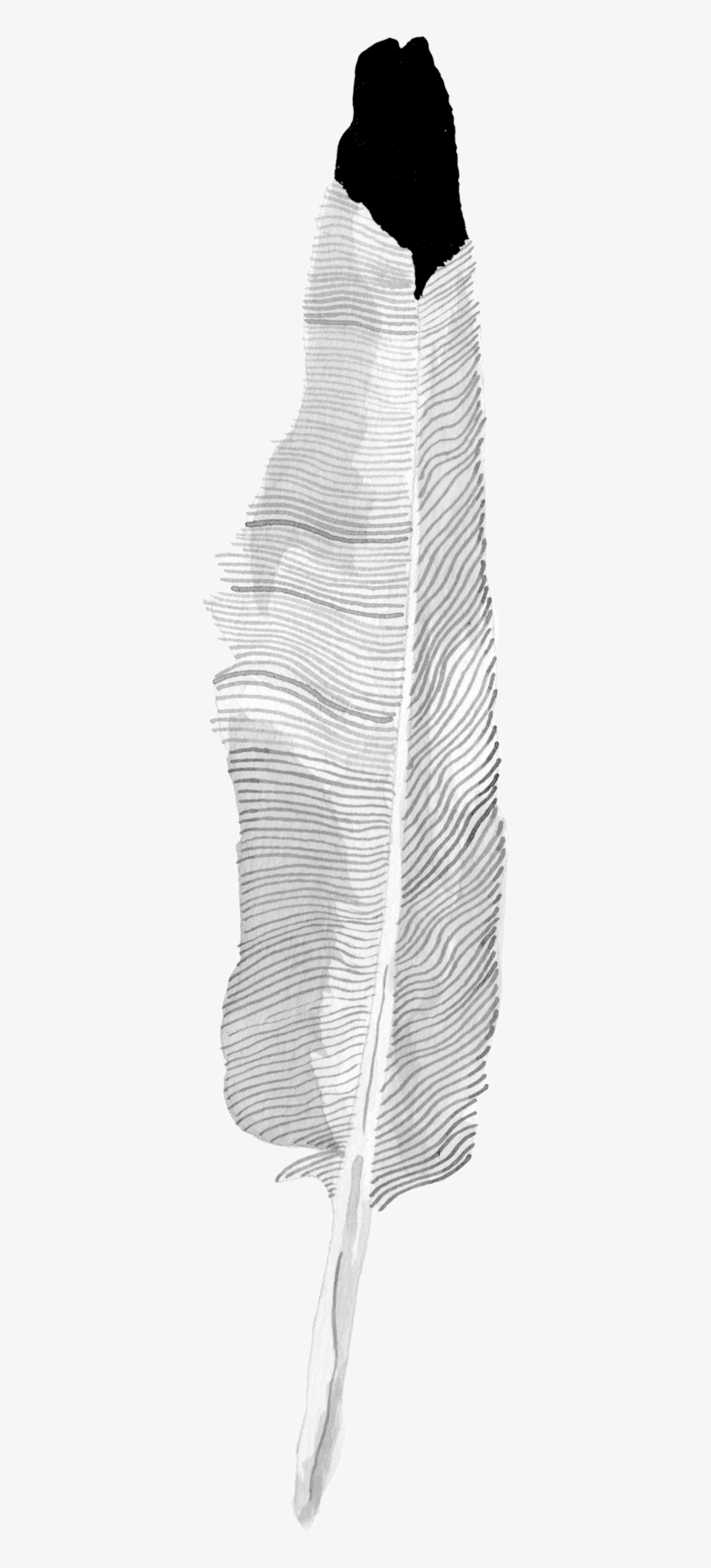 Layer5 - Monochrome, transparent png #8371311