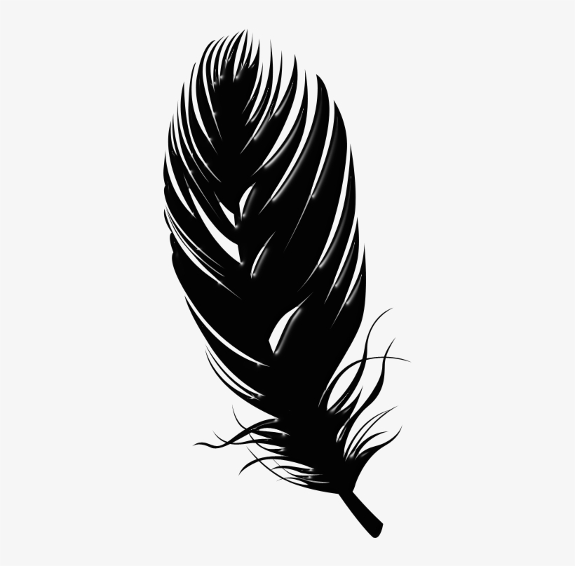 Black Feathers 800 X 400 Click Image For Full Size - Bird Feather Silhouette Png, transparent png #8371747