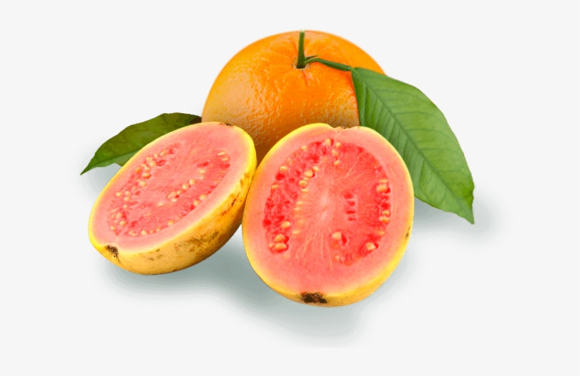 Encantar - Quả Đào, transparent png #8372241