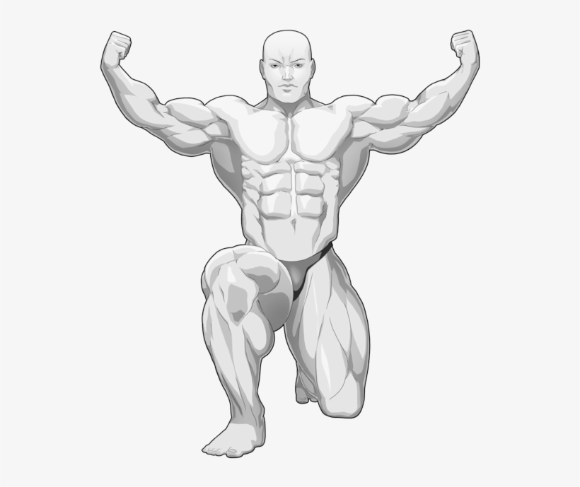 Bodybuilding Clipart Gym Body - Bodybuilding, transparent png #8372272
