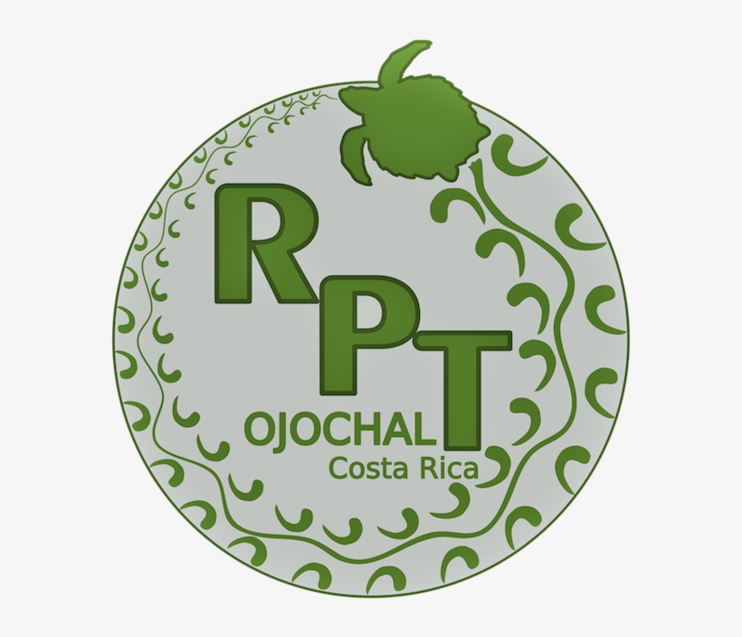 Reserva Playa Tortuga - Circle, transparent png #8372493
