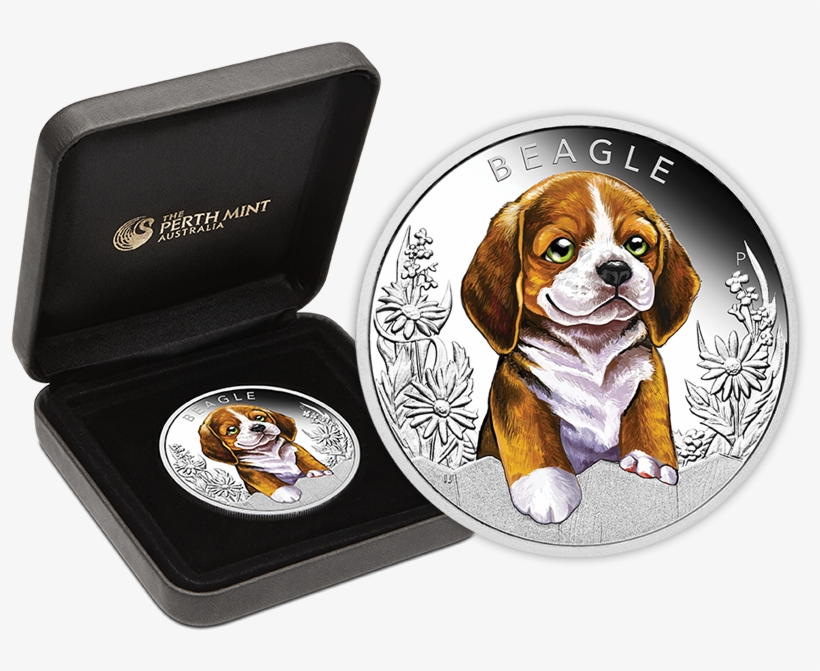 Beagle Png, transparent png #8373028