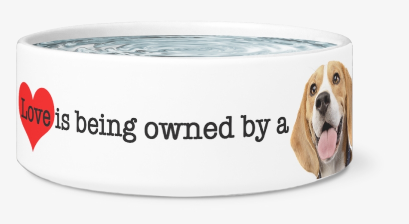 Large Dog Bowl, Love Is Being Owned By A Beagle, - Beagle, transparent png #8373354