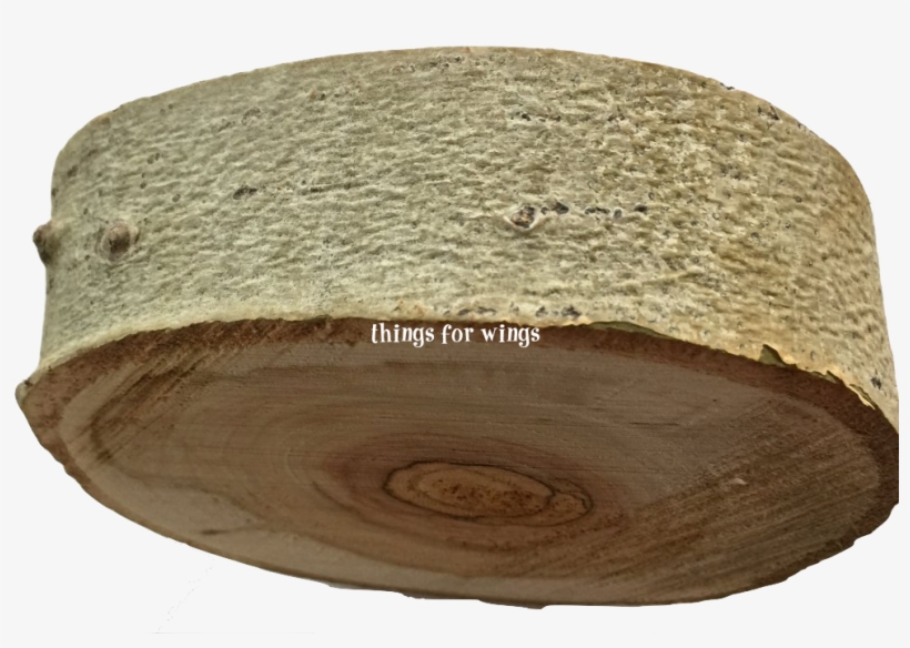 Aspen Platform 5" - Circle, transparent png #8373401