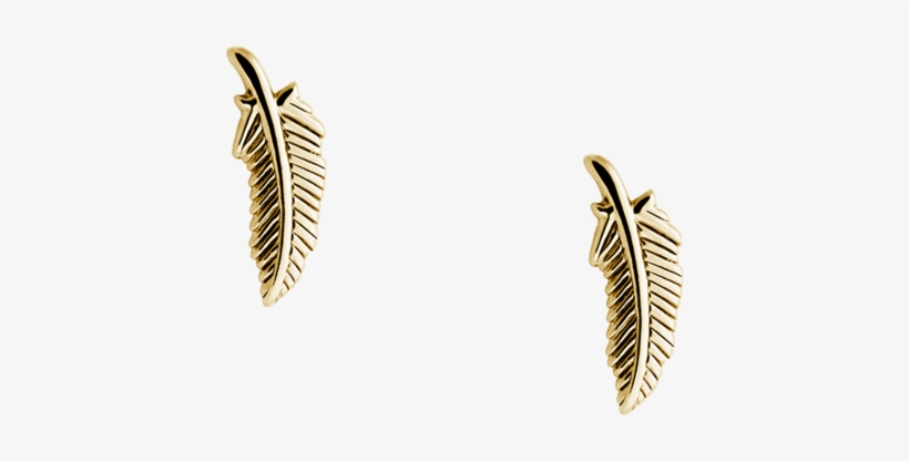 Feather Studs Image - Earrings, transparent png #8373660