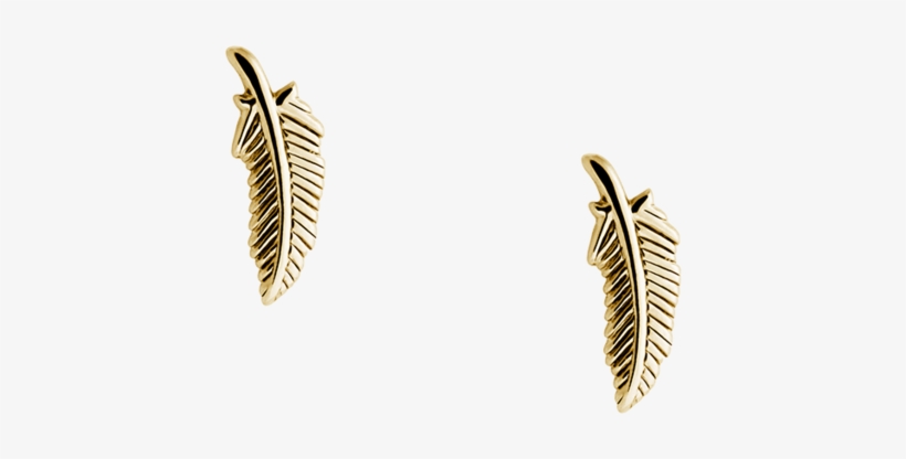 Feather Studs Image - Earrings, transparent png #8373660