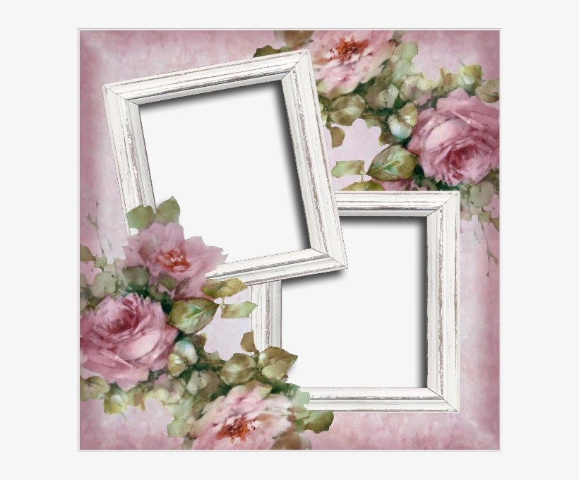 Nm Moldura 22 02 - Garden Roses, transparent png #8373770
