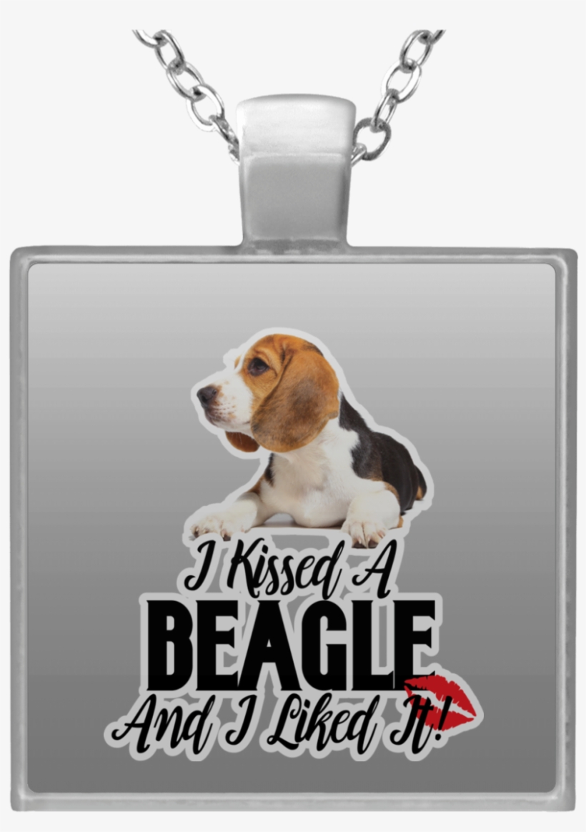 Necklace, transparent png #8373809