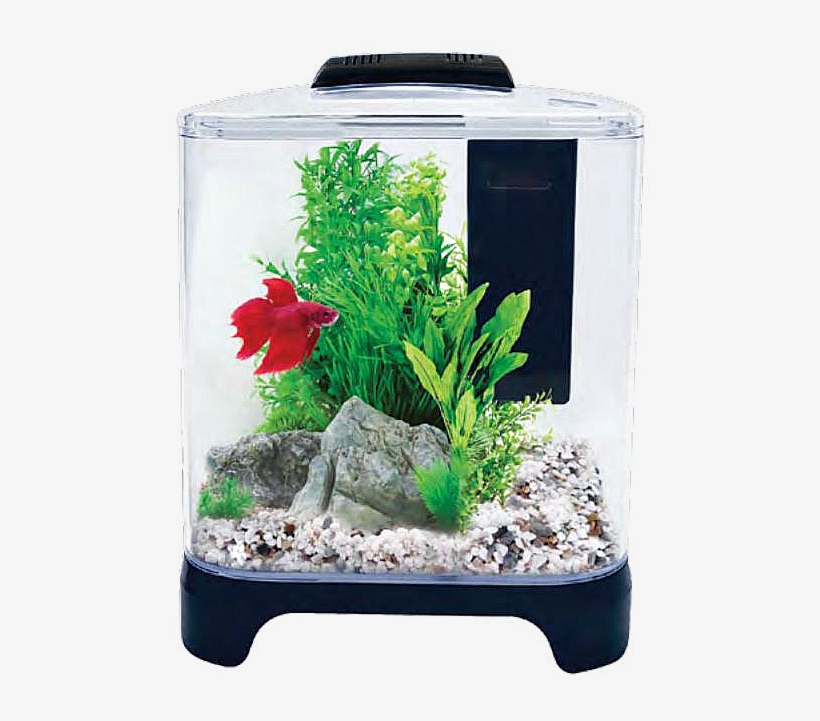 Betta Haven Acrylic Tank 7 Litres - Aqua One Pico, transparent png #8374165