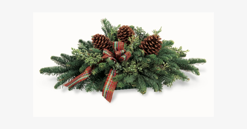 Christmas Tree, transparent png #8374711