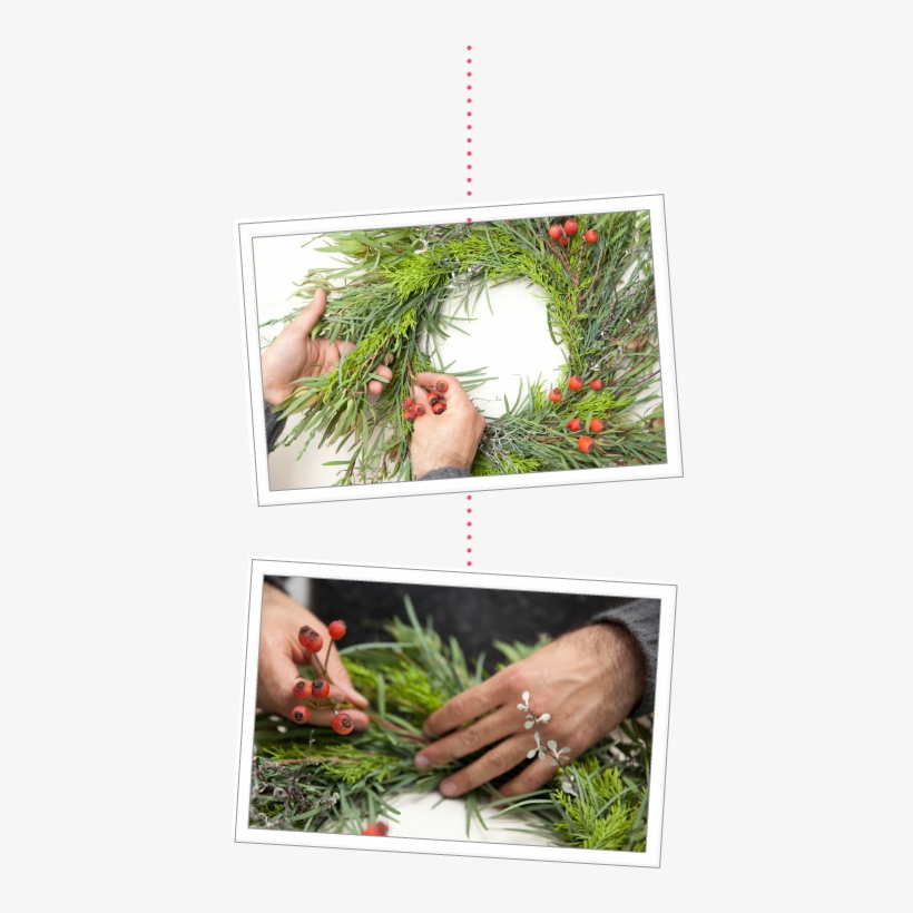 How To Make A Holiday Wreath Using Plants From Your - Christmas Ornament, transparent png #8374934