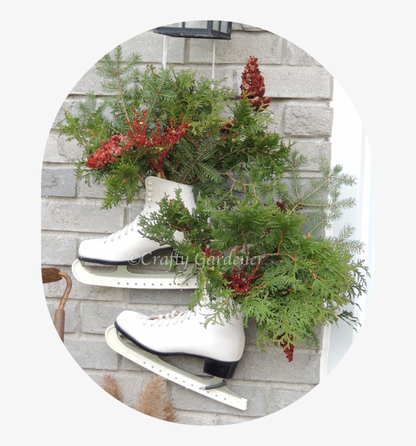 Skates Greenery1b - Christmas Tree, transparent png #8375003