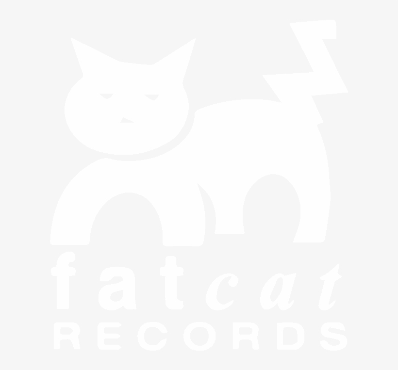 Twitter White Icon Png, transparent png #8375138