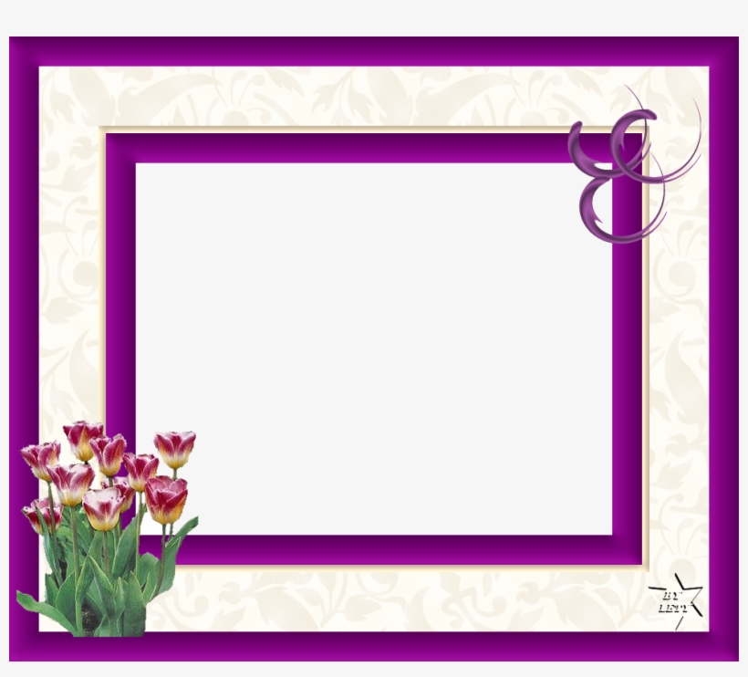 Marcos Para Fotos Digitales, transparent png #8375663