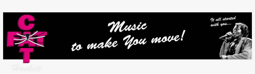 Fat Cat Hacket - Artesanart, transparent png #8375731