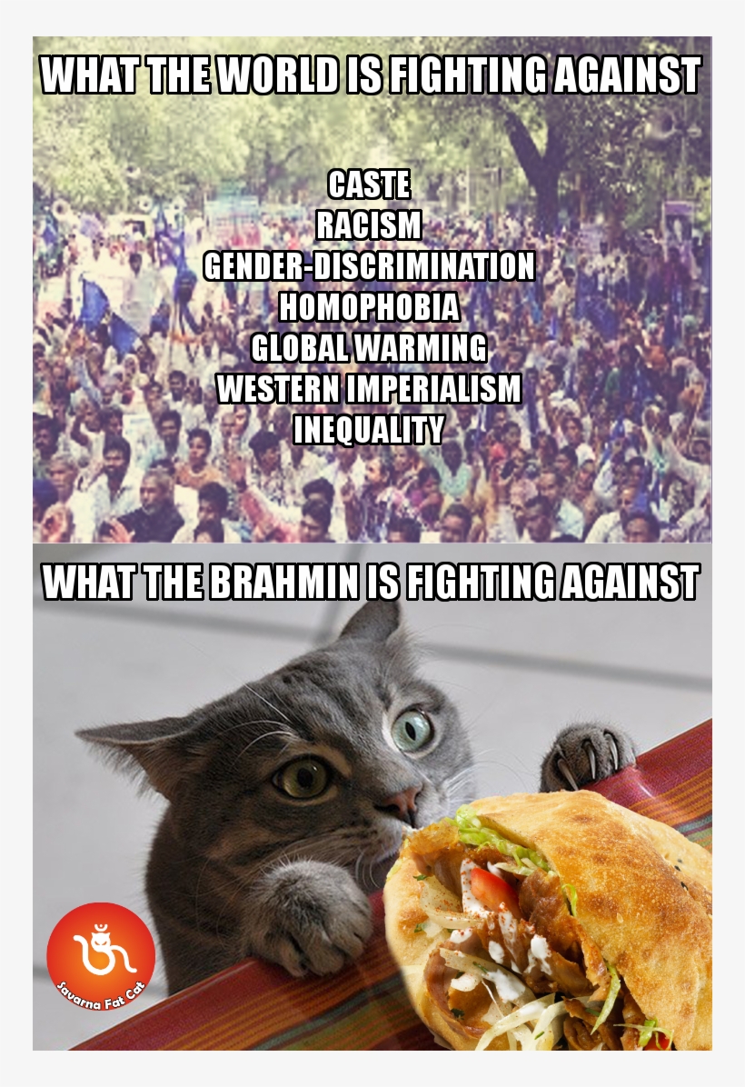 Savarna Fat Cat On Twitter - Prosciutto Cat, transparent png #8375846