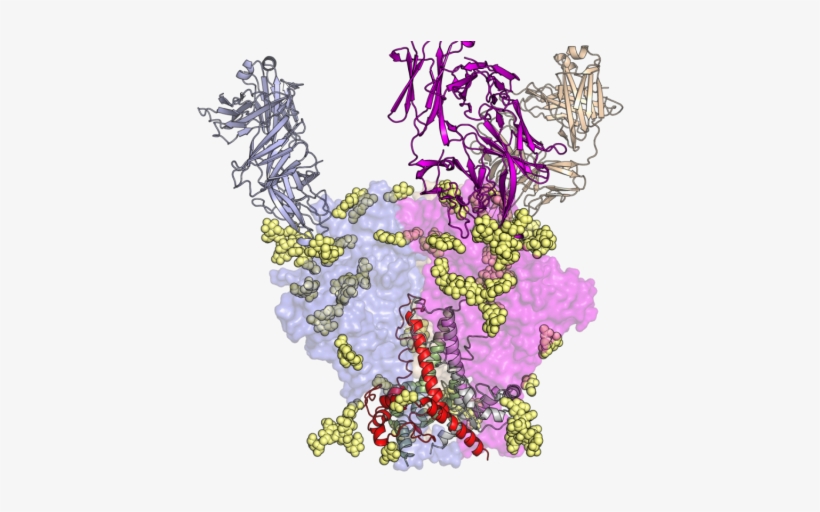 Illustration, transparent png #8376025