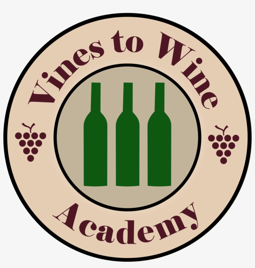 Green Vines Png, transparent png #8377389