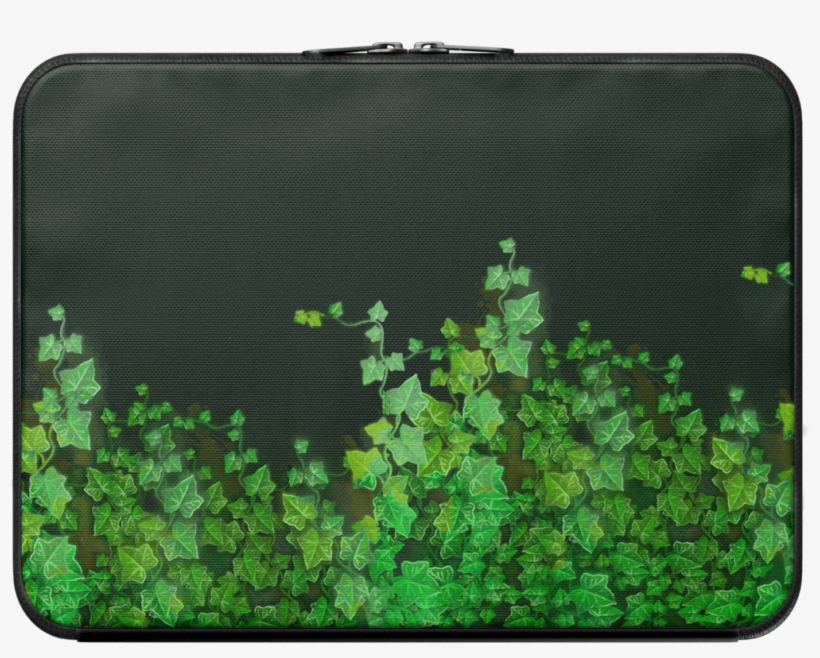 Vines - Vines - Vines - Shamrock, transparent png #8377467
