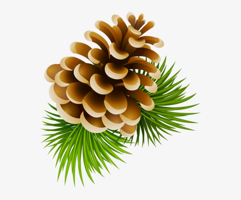 Pine Cone Clipart, transparent png #8377831