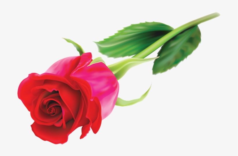 Png Rosas Rojas - Dziękuje Że Jesteś Mamo, transparent png #8377899