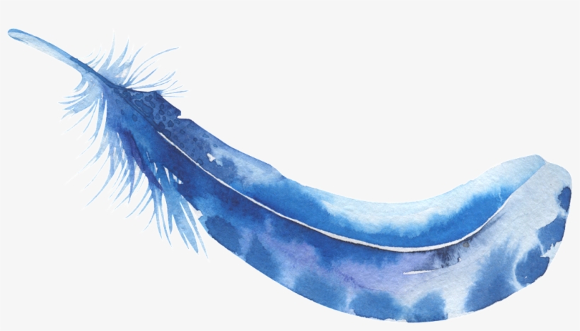 Aquamarine Feather Decorative Free Transparent Background - Feather, transparent png #8377901