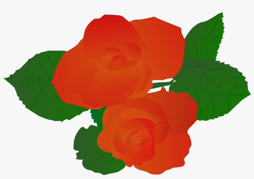 Illustration Illustrator Plant Rose Hand Drawn Red - Vector Graphics, transparent png #8377963