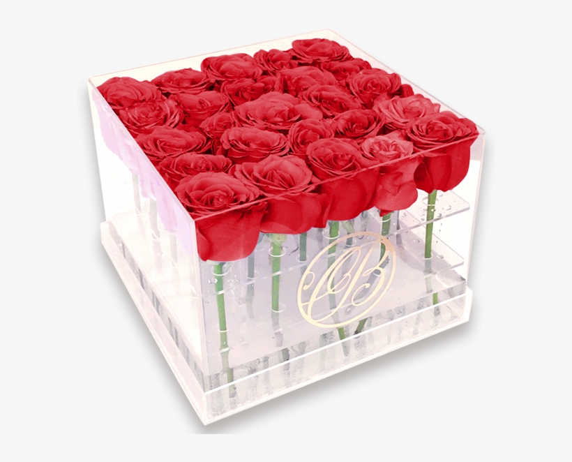 Caja De Acrílico Rosas Rojas - Rosas En Acrilico, transparent png #8378067