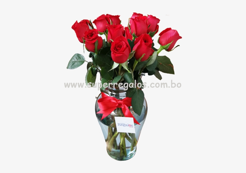Aniversario - Garden Roses, transparent png #8378107