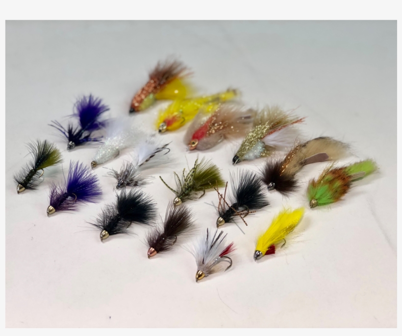 Bait Fish, transparent png #8378270