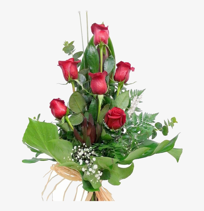 6 Rosas Rojas - Garden Roses, transparent png #8378501