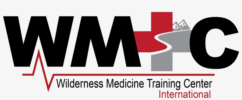 2016 Wmtc-international Linear Logo Clear - Colorfulness, transparent png #8378532