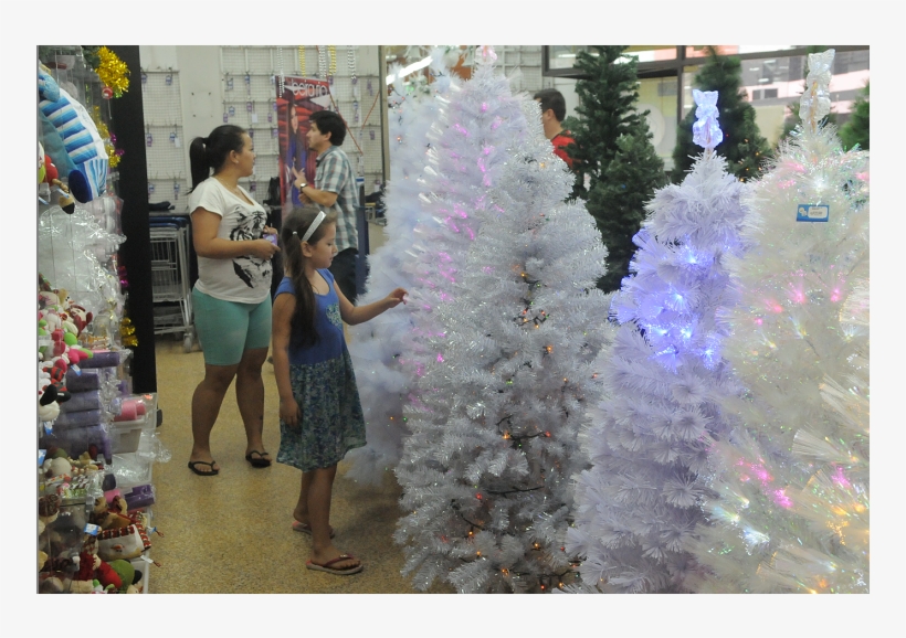 Los Árboles De Navidad Blancos También Son Solicitados - Christmas Lights, transparent png #8379418