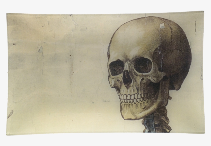 Skull, transparent png #8379547