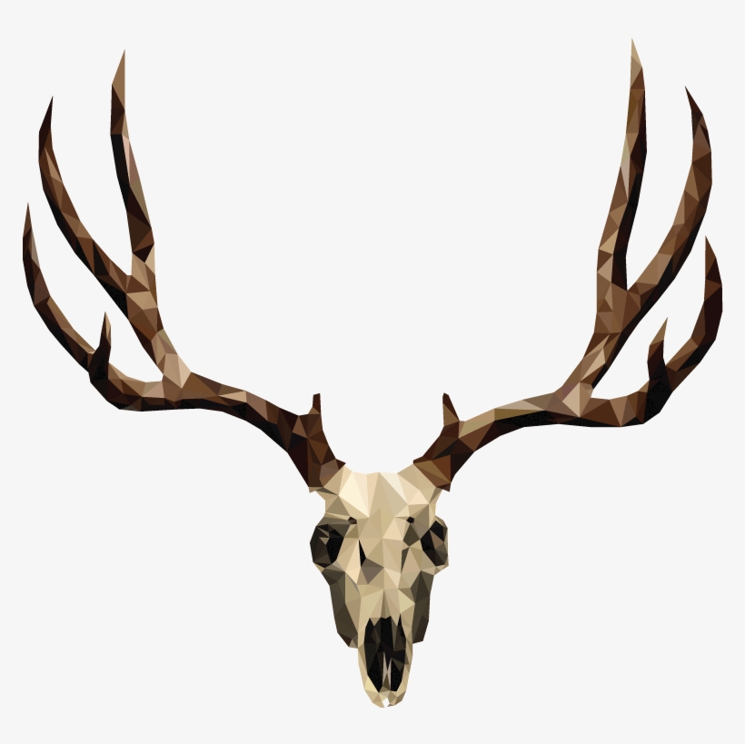 Mule Deer Skull Drawing - Mule Deer Skull Tattoo, transparent png #8379606