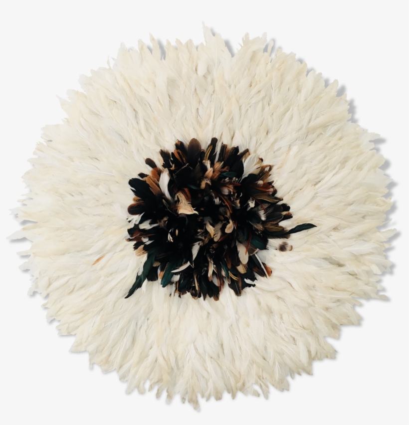 Pincushion Flower, transparent png #8380585