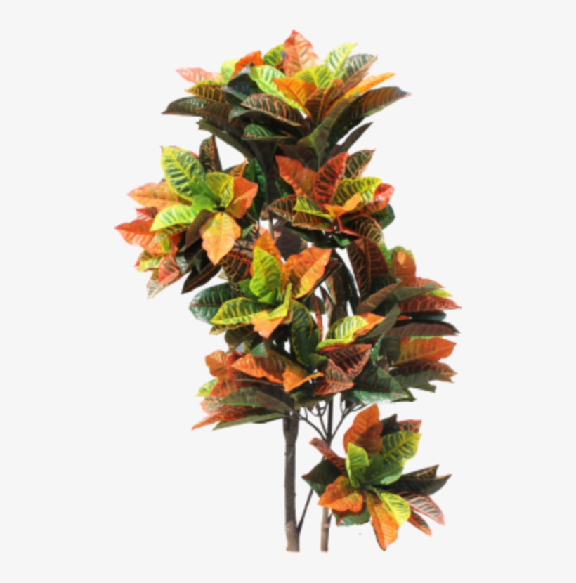 Indoorplant Sticker - Floral Design, transparent png #8381074