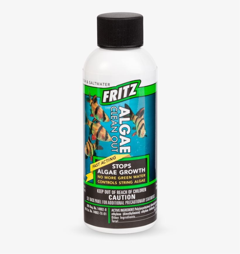 Fritz Algae Clean Out - Insect, transparent png #8381162