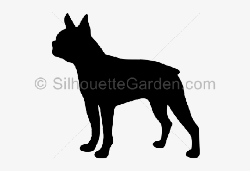Dog, transparent png #8381196