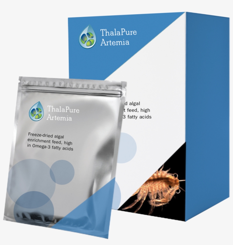 Artemia - Flyer, transparent png #8381229