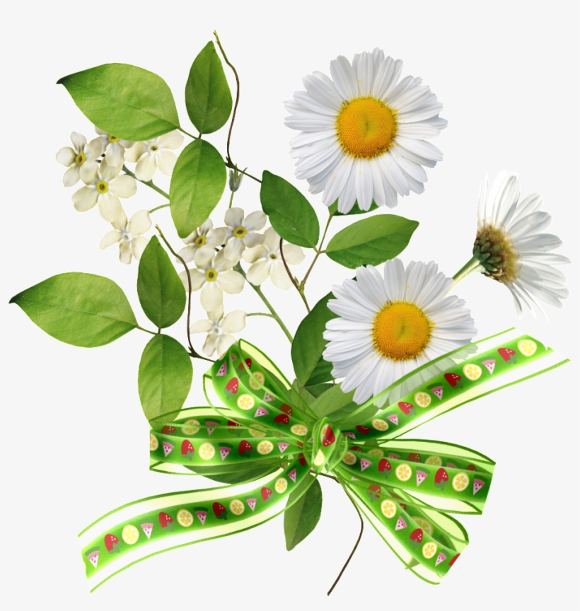 El Png Transparente Del Ramo De Crisantemos Atado Con, transparent png #8381233