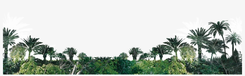 Bgplants - Peace And Love, transparent png #8381334