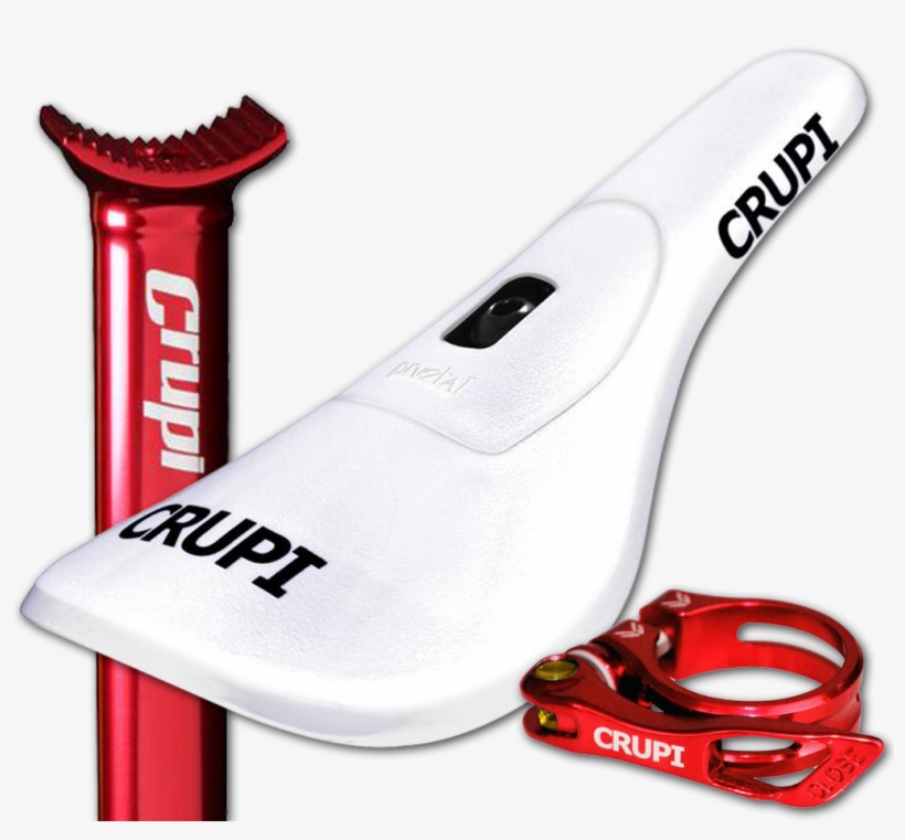 Leash, transparent png #8381582