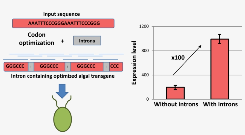 This Is A Significant Milestone For Algal Engineering, - Diagram, transparent png #8381955