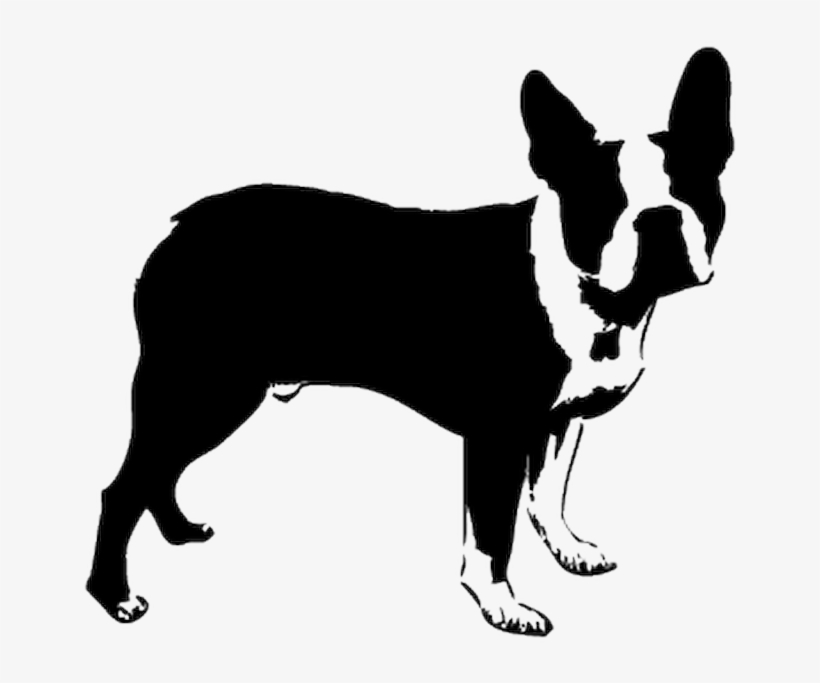 Boston Terrier Stencil, transparent png #8382115