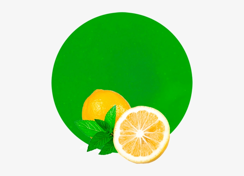 Com/wp And Mint Concentrate 1 - Rangpur, transparent png #8383658