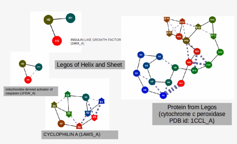 Proteins As Legos - Diagram, transparent png #8384052