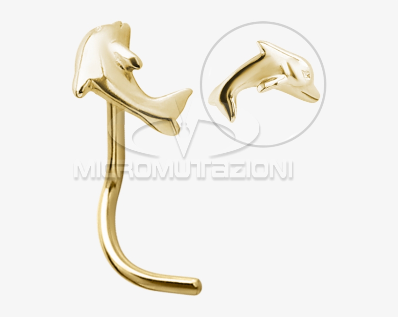 18k Gold Dolphin Nose Stud - Aspiral, transparent png #8384753