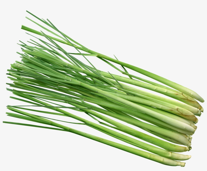 Lemongrass Png - Lemon Grass Hd Png, transparent png #8384815